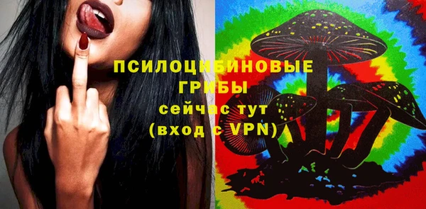 mdpv Карталы